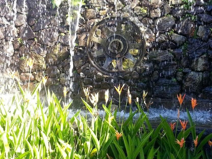 Hotel La Pedregosa 梅里达 外观 照片